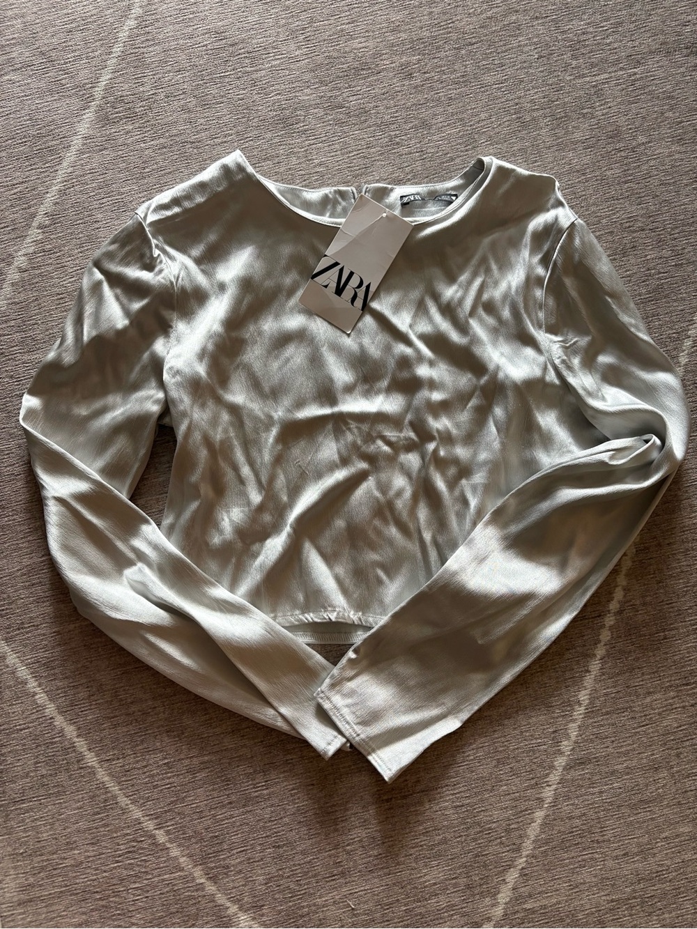 ZARA Silver-Gray Long Sleeve Crewneck Top